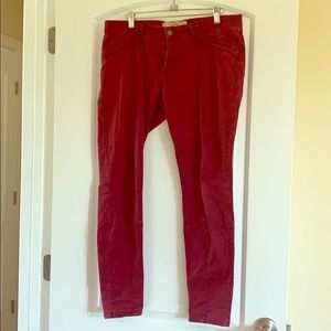 Hollister Skinny Leg Maroon Soft texture pants